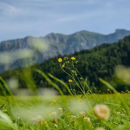 Haus Sonne & * Bizau