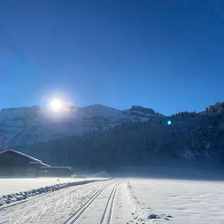 Daire Haus Sonne & Bizau